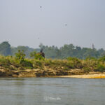 2024-10 - Népal - J11 - Parc National de Chitwan - 039